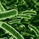 Illustration for article titled 10 Ways the Human Microbiome Project Could Change the Future of Science and Medicine